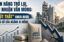 Đơn hàng trở lại, vì sao lợi nhuận của doanh nghiệp xi măng vẫn mỏng?