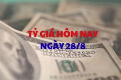 Tỷ giá hôm nay 28/8: Giá USD tiếp tục đi xuống
