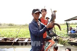 Đề xuất thí điểm chuỗi giá trị thủy sản - sinh kế - du lịch tại Đồng Tháp