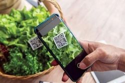 Doanh nghiệp Việt cần kiểm soát chặt chẽ xuất xứ trước yêu cầu mới về truy xuất nguồn gốc của Hoa Kỳ