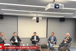 Ph&aacute;p luật Việt Nam trước những y&ecirc;u cầu mới