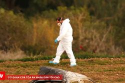 Malta: Tình tiết mới trong vụ nữ nhà báo bị sát hại, nghi phạm sau 7 năm tố mình bị 'gài bẫy'