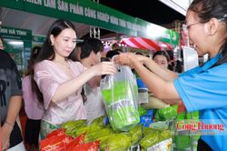Bệ phóng giao thương, nâng tầm sản phẩm địa phương từ hội chợ lớn
