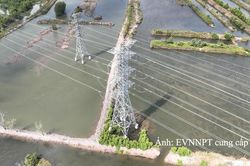 EVNNPT hoàn thành đóng điện 2 dự án truyền tải 220kV tại Cà Mau