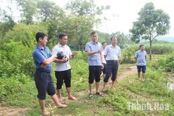 Tăng cường đi cơ sở tháo gỡ những điểm nghẽn từ thực tiễn
