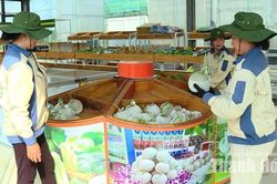 Nhiều sản phẩm OCOP “mất sao”