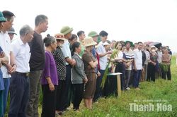 Đánh giá mô hình canh tác lúa thân thiện với môi trường