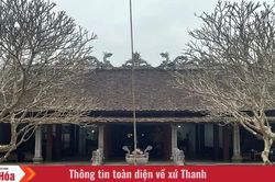 Những “bông hoa” xứ Thanh được Bác Hồ khen tặng