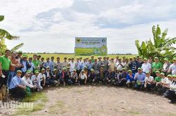 Nông dân Campuchia học kinh nghiệm canh tác lúa giảm phát thải tại An Giang