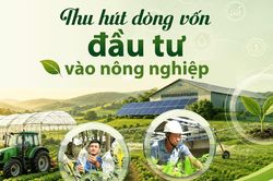 [eMagazine] - Thu h&uacute;t d&ograve;ng vốn đầu tư v&agrave;o n&ocirc;ng nghiệp