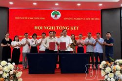 Phát huy vai trò người cao tuổi trong chuyển đổi xanh
