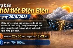 Bản tin Dự báo thời tiết ngày 29/8/2026