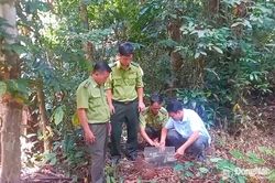 Thả 84 cá thể động vật hoang dã về môi trường tự nhiên