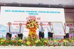 Sa Đéc đón nhận danh hiệu phường An toàn khu