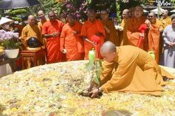 Cung nghinh c&acirc;y Bồ đề từ Sri Lanka về trồng tại C&ocirc;ng vi&ecirc;n Ch&ugrave;a Vĩnh Tr&agrave;ng