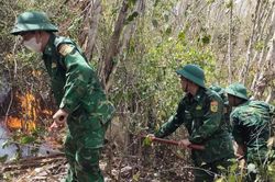 Hơn 500 người tham gia dập tắt cháy rừng tại phường Quy Nhơn Nam