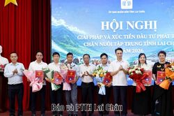 Giải ph&aacute;p v&agrave; x&uacute;c tiến đầu tư ph&aacute;t triển chăn nu&ocirc;i tập trung tỉnh Lai Ch&acirc;u năm 2026