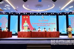 Phi&ecirc;n thứ nhất Đại hội Hội Nh&agrave; b&aacute;o tỉnh lần thứ VIII