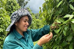 Giàu lên nhờ chuyển từ 'làm nhiều' sang làm đúng kỹ thuật