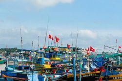L&acirc;m Đồng tăng cường kiểm tra, xử l&yacute; t&agrave;u c&aacute; '3 kh&ocirc;ng' nhằm gỡ thẻ v&agrave;ng IUU