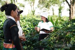 Biến phụ phẩm cà phê thành tài nguyên