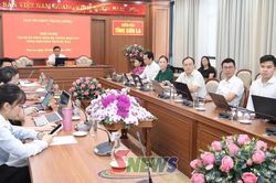 Tập huấn phần mềm Hệ thống báo cáo tổng hợp phân tích dự báo