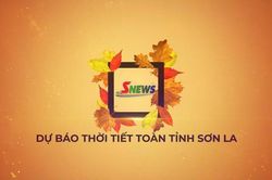 Dự b&aacute;o thời tiết to&agrave;n tỉnh Sơn La ng&agrave;y 29/8/2026