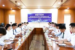 Hợp t&aacute;c ph&aacute;t triển c&acirc;y ch&egrave; giữa T&ugrave;ng V&agrave;i v&agrave; huyện Malypho