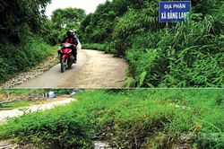 Cỏ mọc um tùm trên tuyến Xuân Giang - Bắc Quang
