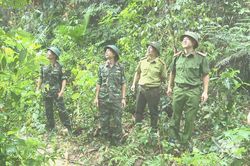 Ba lực lượng chung tay giữ màu xanh của rừng