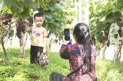 Làng quê xanh thúc đẩy nông nghiệp trải nghiệm