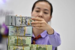 Thị trường tiền tệ tuần 24 - 28/8: USD biến động hẹp, lãi suất qua đêm rơi về 1% sau nhịp bơm mạnh thanh khoản