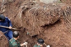 T&igrave;m thấy 126 h&agrave;i cốt liệt sĩ dưới vườn dừa, nghĩa trang cũ