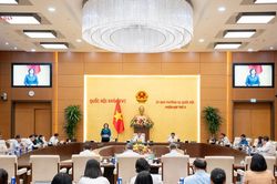 Chuyển tư duy hỗ trợ doanh nghiệp d&agrave;n trải sang hỗ trợ c&oacute; trọng t&acirc;m