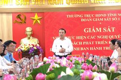 Rà soát thực tiễn, nâng hiệu quả thực thi chính sách