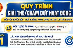 Khi n&agrave;o doanh nghiệp bị gắn m&atilde; 06 v&agrave; 4 bước giải thể đ&uacute;ng quy định