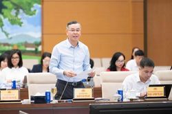 Luật về doanh nghiệp nhỏ và vừa: Chuyển tư duy từ hỗ trợ sang phát triển