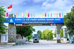 Nhóm NutiFood và ban lãnh đạo đăng ký mua lượng lớn cổ phiếu, Đường Quảng Ngãi (QNS) chi hơn 367 tỷ đồng trả cổ tức