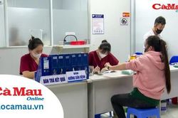 Chuyên đề BHXH kỳ 2 tháng 8