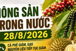 Nông sản trong nước 28/8: Cà phê mất thêm 800 đồng/kg, gạo nguyên liệu tiếp tục giảm
