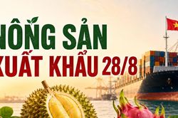 Nông sản xuất khẩu 28/8: Rau quả tăng 23,6%, hồ tiêu đạt 1,17 tỷ USD