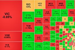 Chứng khoán 28/8: VN-Index giảm nhẹ, HNX và UPCoM ngược dòng