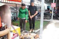 Bắt khẩn cấp đối tượng trộm chó và kẻ tiếp tay tiêu thụ