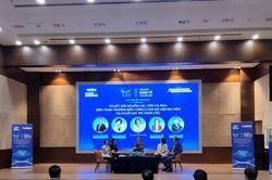 Doanh nghiệp nhỏ, siêu nhỏ có cơ hội nào trong M&A?