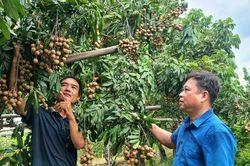Những mô hình sản xuất nông nghiệp hiệu quả ở Hòa Xá