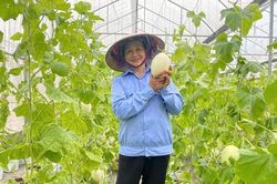 N&ocirc;ng sản Thủ đ&ocirc; chinh phục thị trường từ minh bạch nguồn gốc