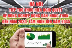 Hà Nội tiếp tục thực hiện Nghị quyết về nông nghiệp, nông dân, nông thôn đến năm 2030, tầm nhìn 2045