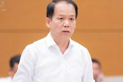 Đề xuất sửa toàn diện Luật Nuôi con nuôi, tăng bảo vệ quyền lợi trẻ em