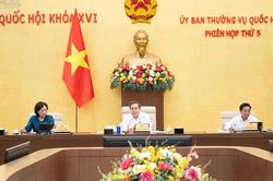 Đề xuất dùng ngân sách dẫn dắt, thúc đẩy doanh nghiệp nhỏ và vừa