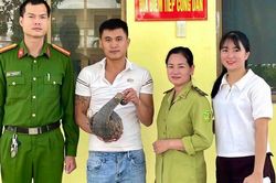 T&ecirc; t&ecirc; qu&yacute; hiếm 'đi lạc' giữa phố